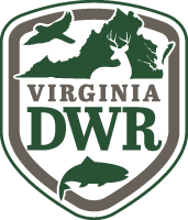 Va Trout Stocking Schedule 2022 Daily Trout Stocking Schedule | Virginia Dwr