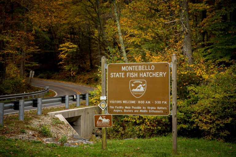 Montebello Fish Hatchery Virginia DWR