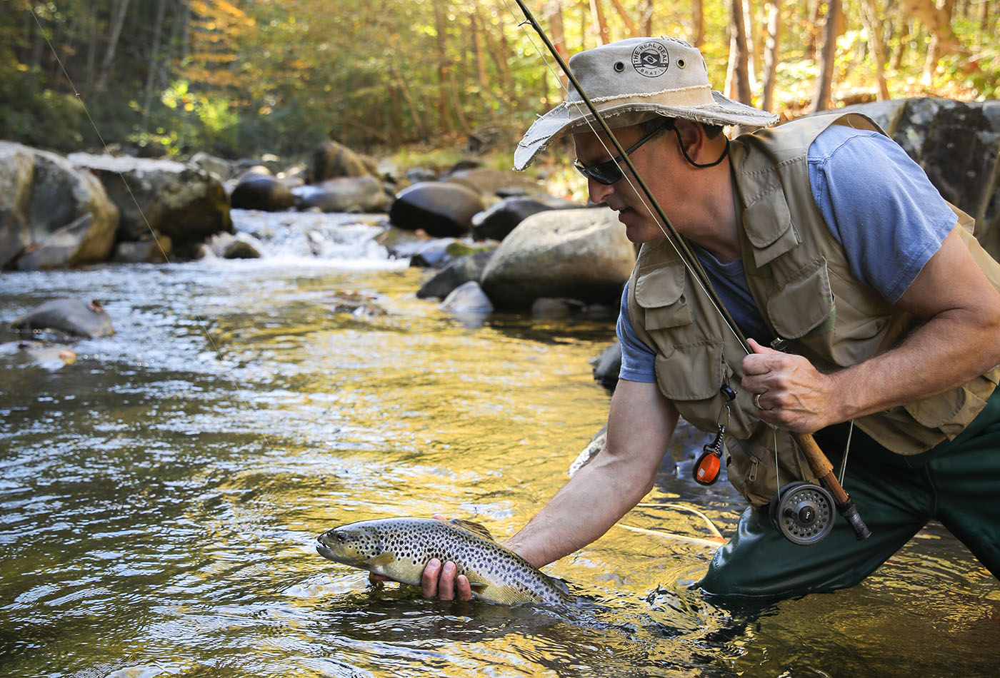 Trout Fishing in Virginia: Fulfill Catch Limit with Limitless Opportunities