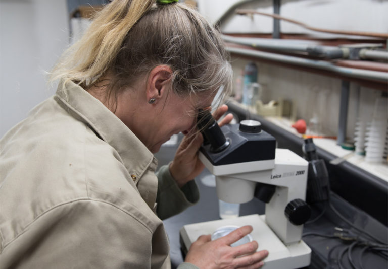 King & Queen Fish Hatchery | Virginia DWR