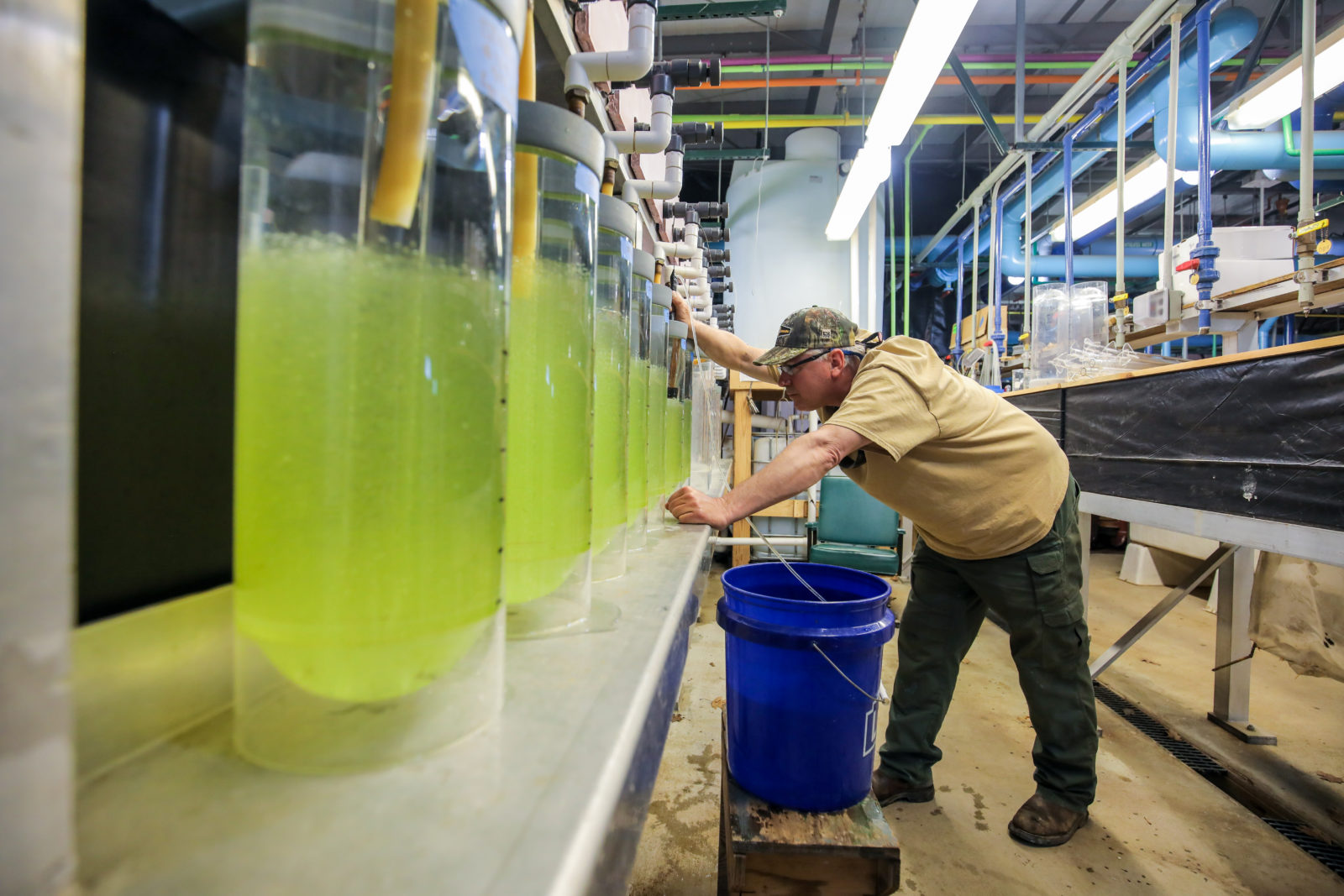 Vic Thomas Fish Hatchery Virginia DWR