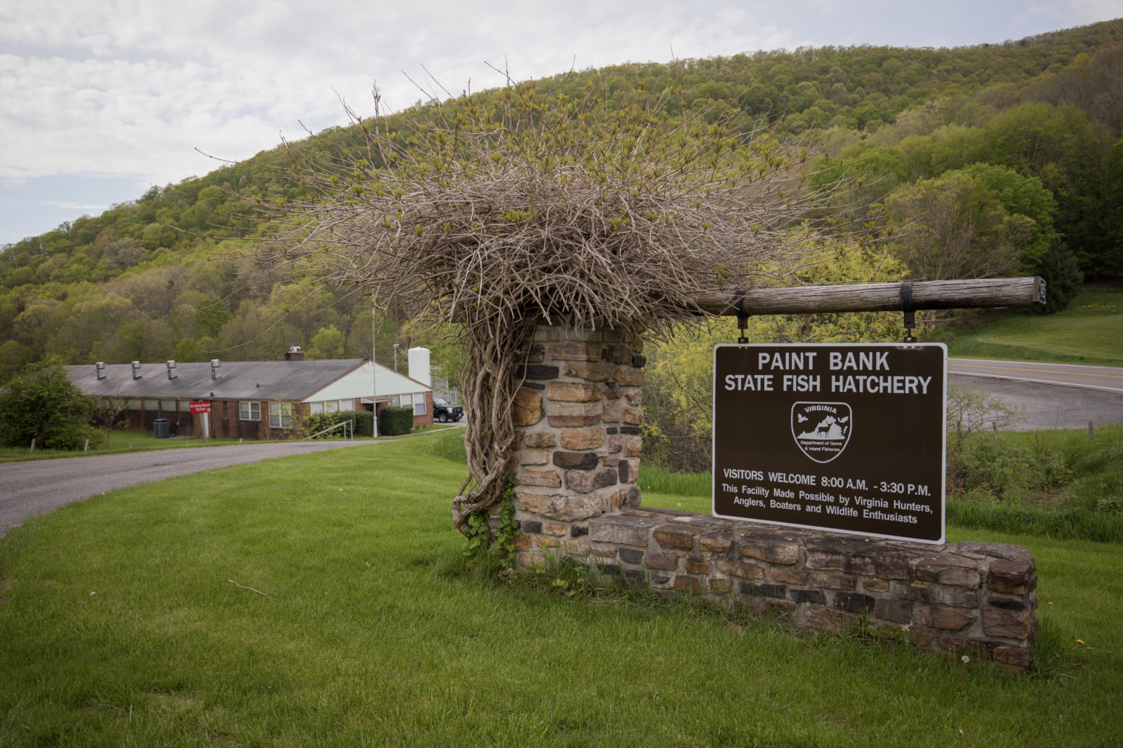 Paint Bank Fish Hatchery Virginia DWR