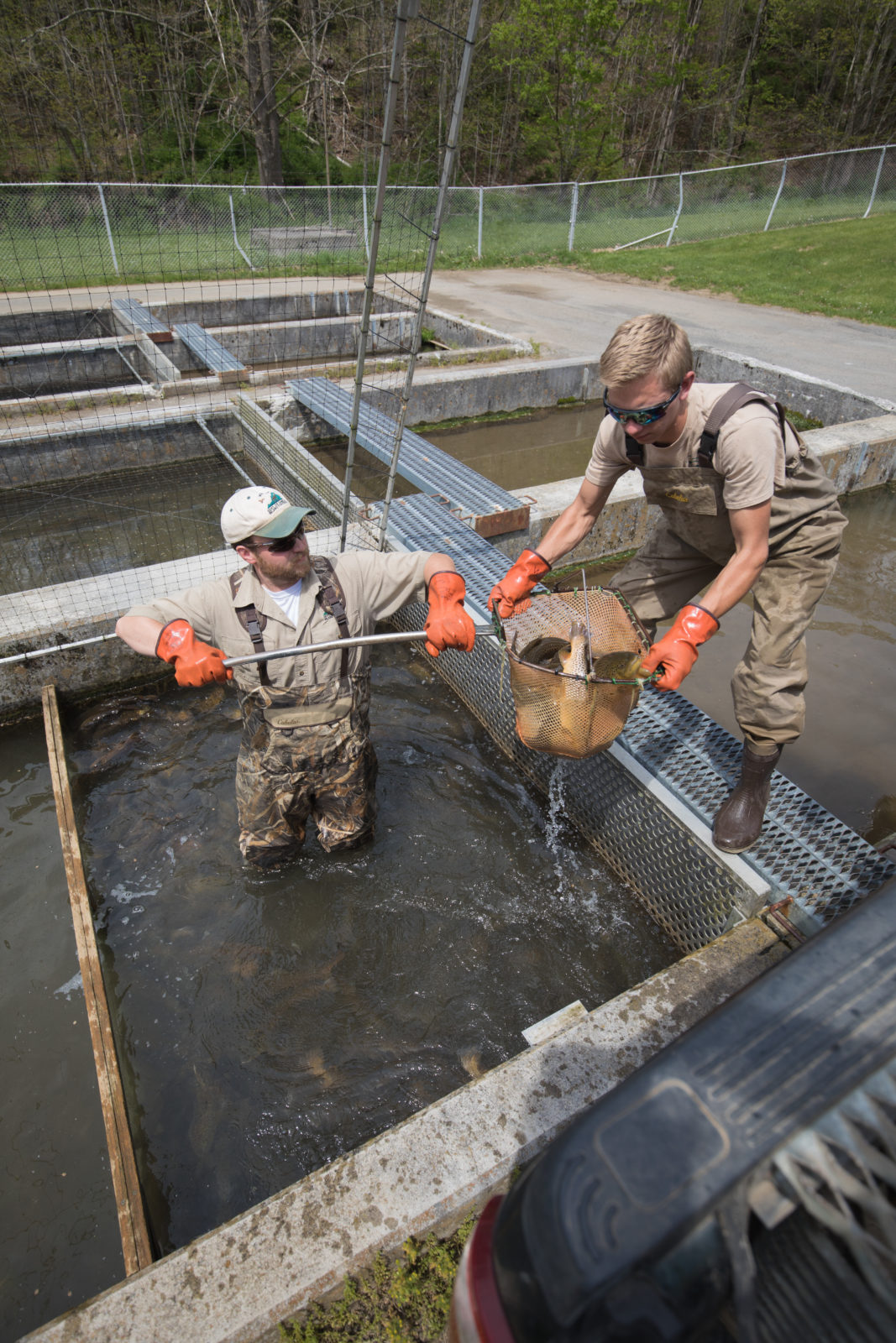 Paint Bank Fish Hatchery | Virginia DWR