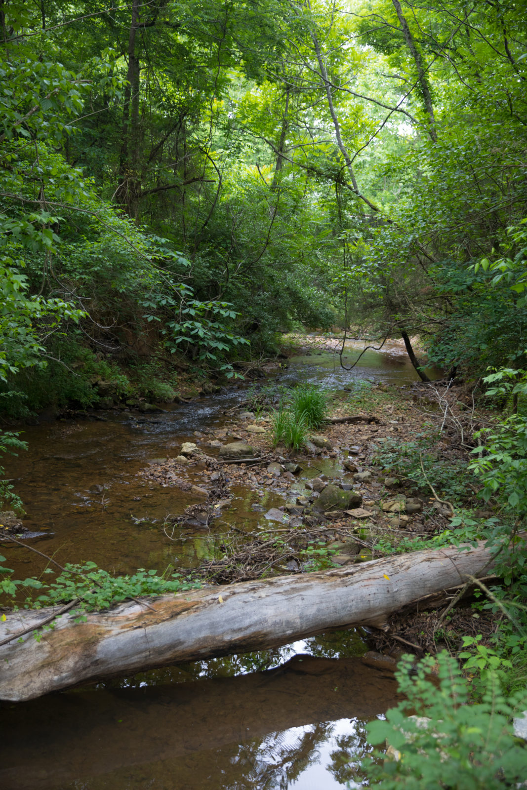 James River Virginia DWR