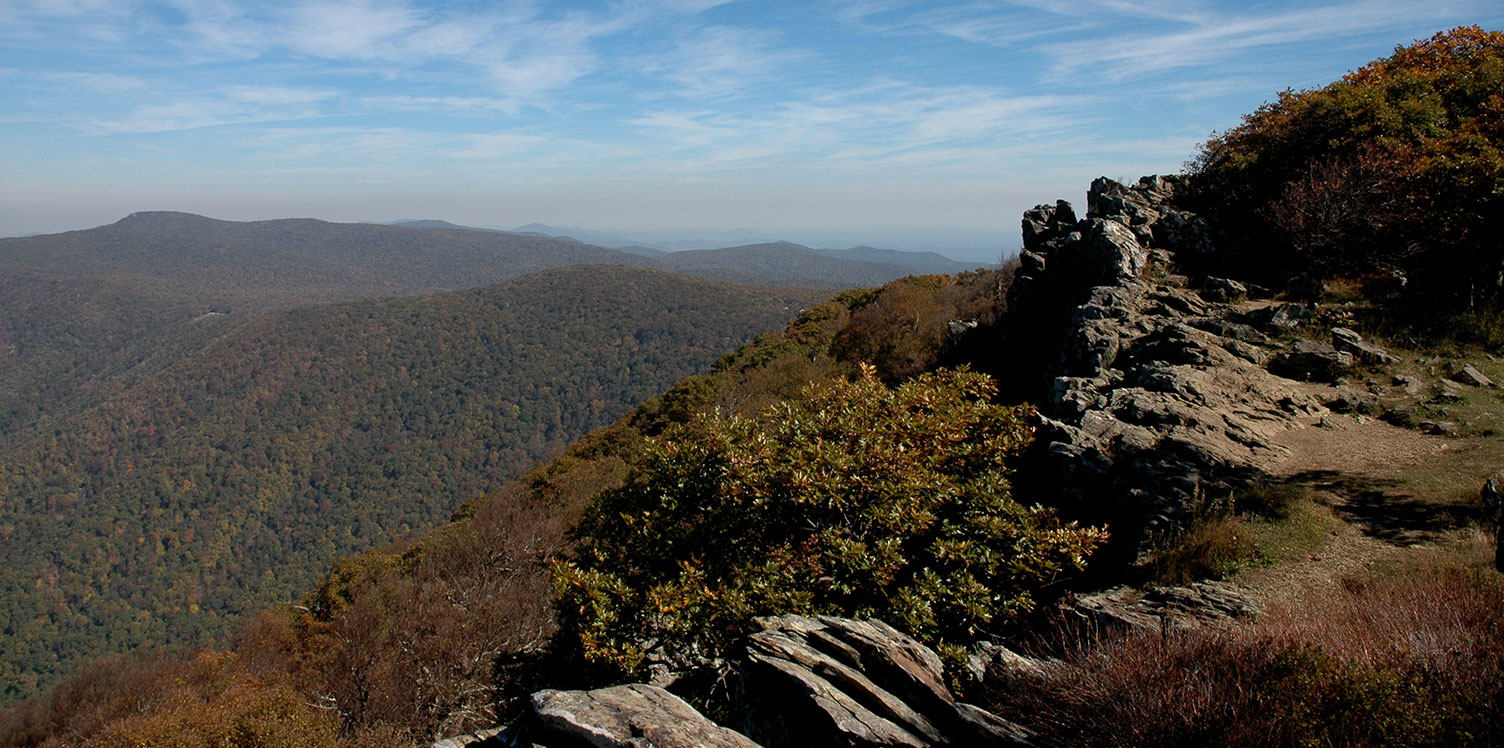 Fishing in the Virginia Blue Ridge Mountains by Shenandoah