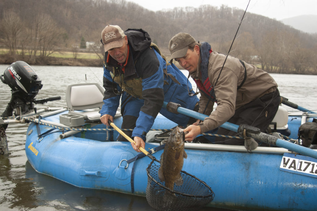 An image of two men on a blue boat catching a New River Smallmouth Bass