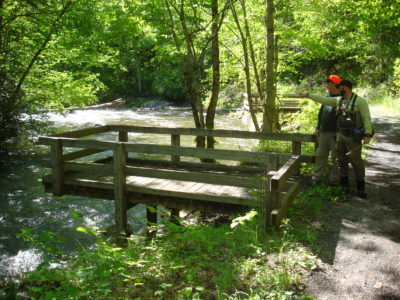An image of an accessible fishing dock built in Clinch mountain