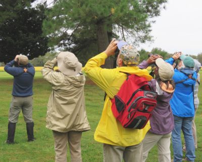 A image of multiple people with binoculars looking towards the upper left corner facing away from the photographer as if they saw a cool bird.