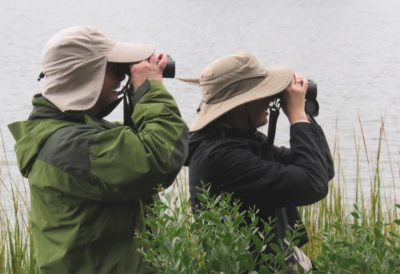 An image of two people in a marsh looking towards the right with binoculars; both of them have large tan sunhats.