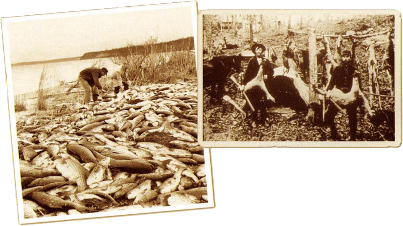 Two photos of a black and white picture of hunters with their kills
