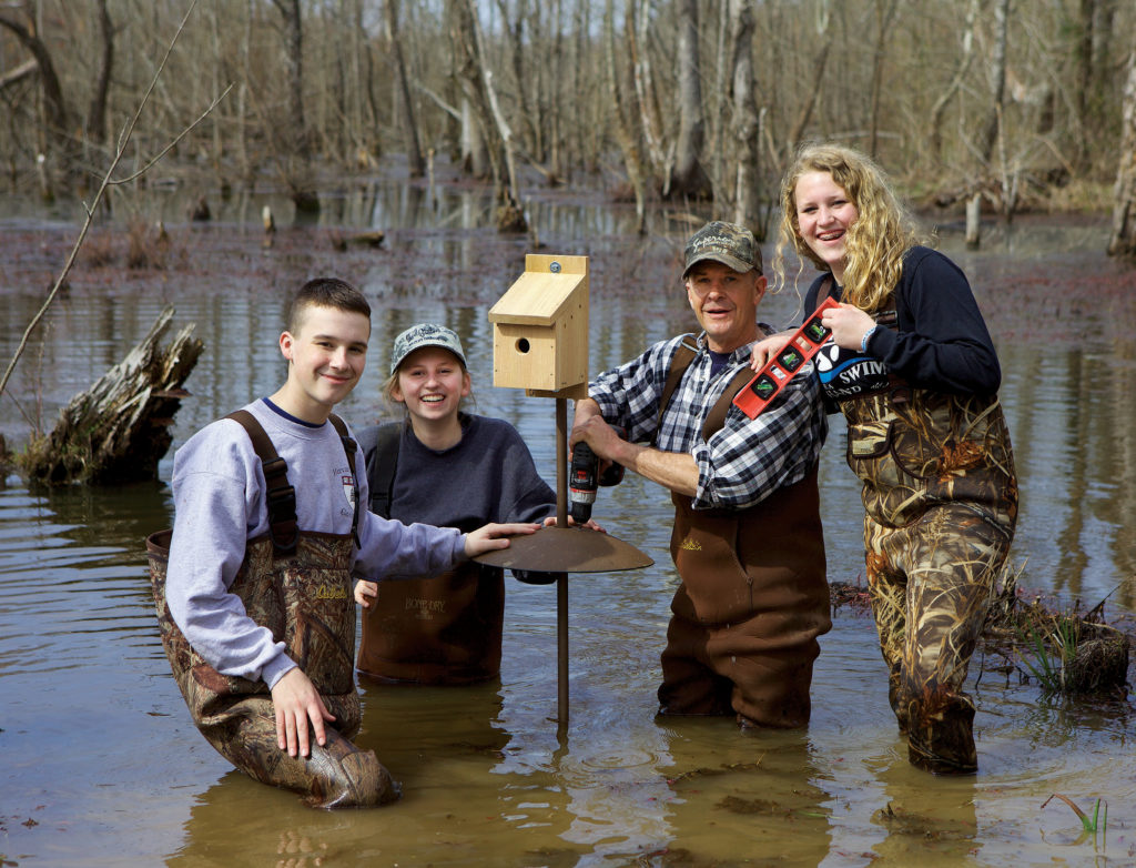An image of four people wading out in into a marsh to place nesting boxes with predator protection cones on their stands as part of Project Prothonotary