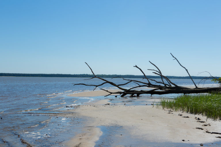 Ware Creek Virginia DWR