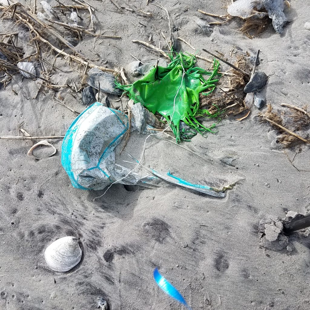 An image of two balloons which when in the water loose their color and can be mistaken for jellyfish harming marine animals
