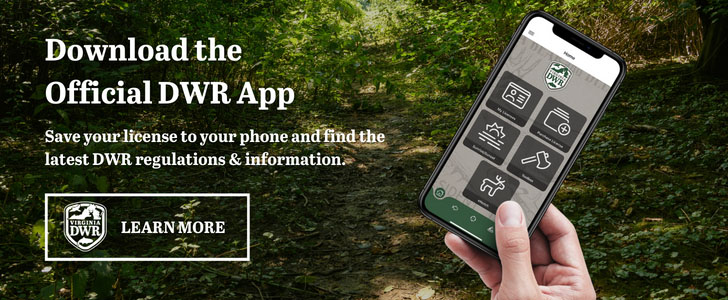 Download the official DWR app: save your license to your phone and find the latest DWR regulations and information