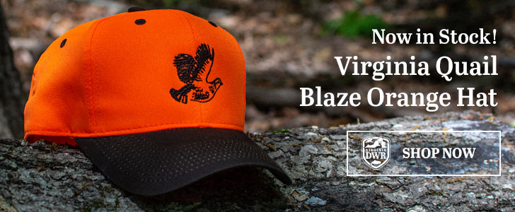 The Virginia Quail Blaze Orange Hat - On Sale Now!