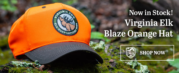 The Virginia Elk Blaze Orange Hat - On Sale Now!