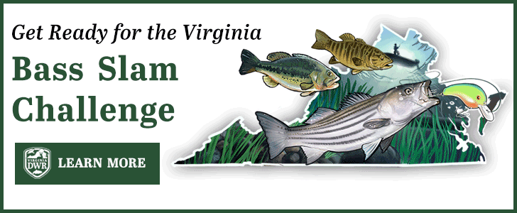 Get ready for the Virginia Bass Slam Challenge!