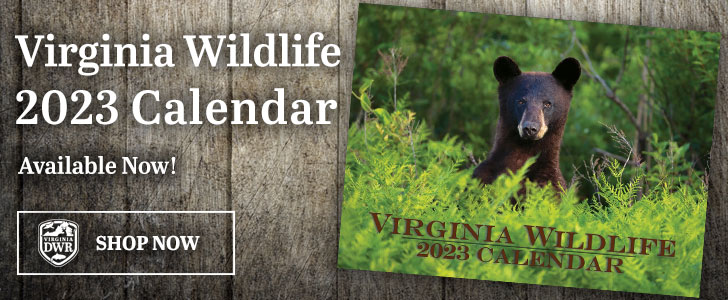 The 2023 Virginia Wildlife Calendar is out now!