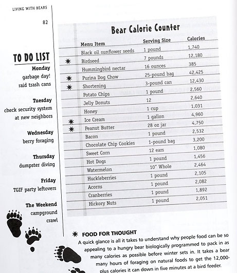 bear-calorie-counter