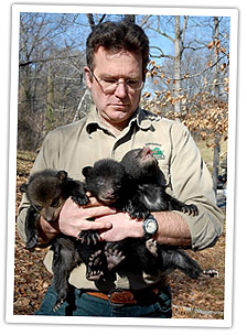 bear-cub-large
