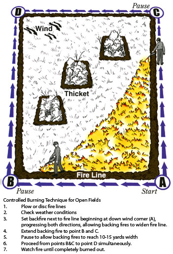 An image describing how to carry out a prescribed burn; to start plow fire lines then under ideal weather conditions you can set a fire in the wind corner and guide the fire along the edges of the fire line; then let the fire burn out