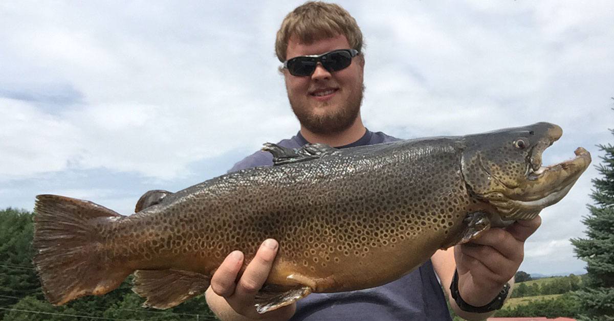 Special Trophy Trout Stocking Event at Crooked Creek Fee Fishing