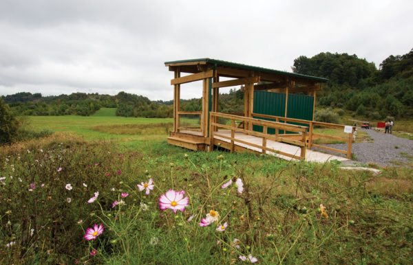 An image of an elk viewing station which appears as a wood pavilion with a green tin roof and walls and a ramp to access it; in the foreground are pink and white flowers.