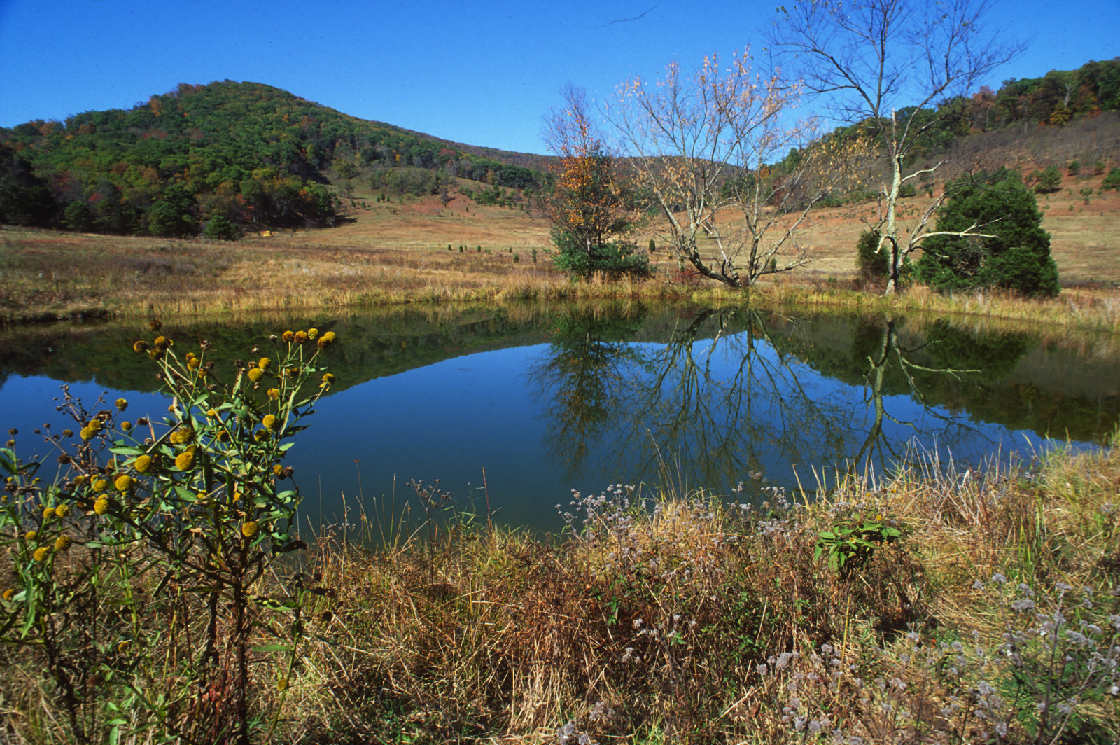 Goshen and Little North Mountain Virginia DWR