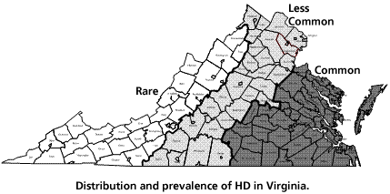 hd-distribution