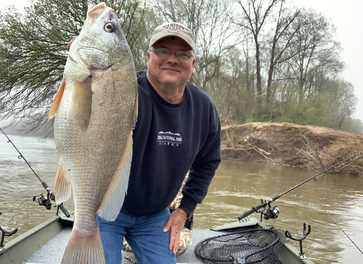 An image of an angler holding a freshwater drum he caught in the Dan river