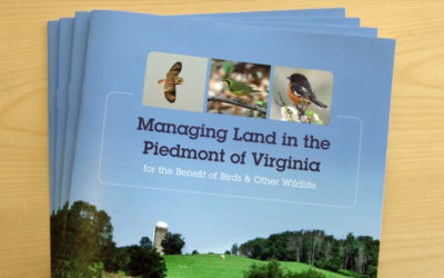 An image of the managing land guide