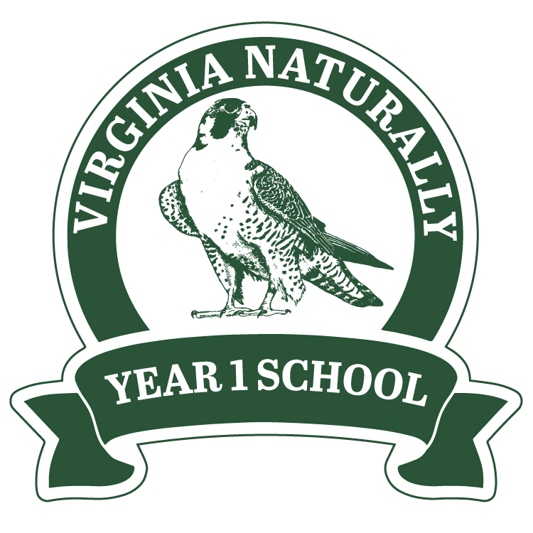 Image is of the Virginia Naturally Year 1 badge, in the center is a drawing of a Peregrine Falcon