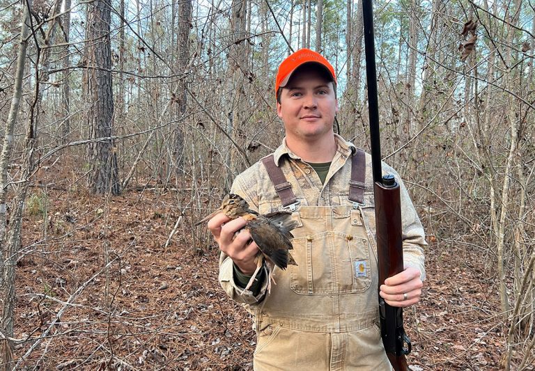 Woodcock Hunting Is An Exhilarating And Delicious Experience Virginia Dwr 