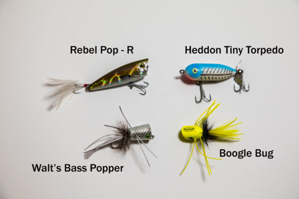 An image of a variety of fishing lures that are known to attract smallmouth bass