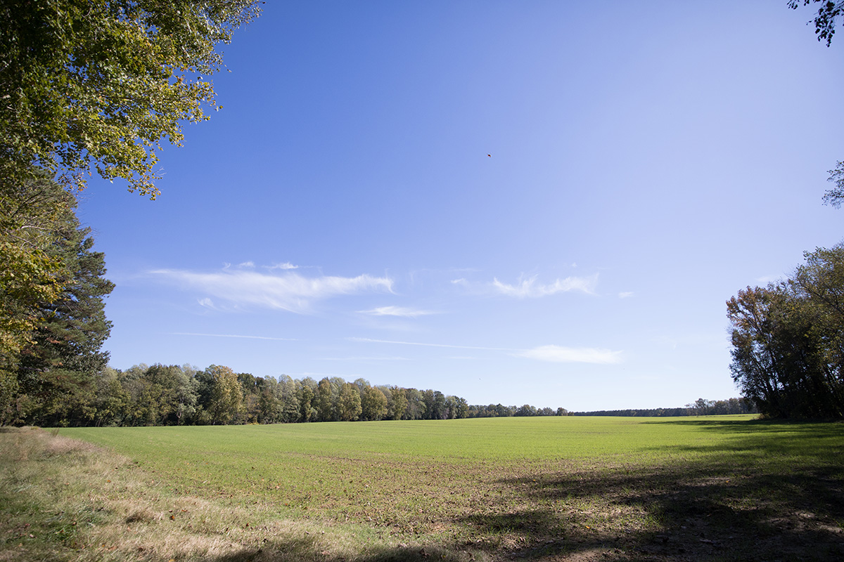 An image of a recently mowed field surrounded by deciduous trees