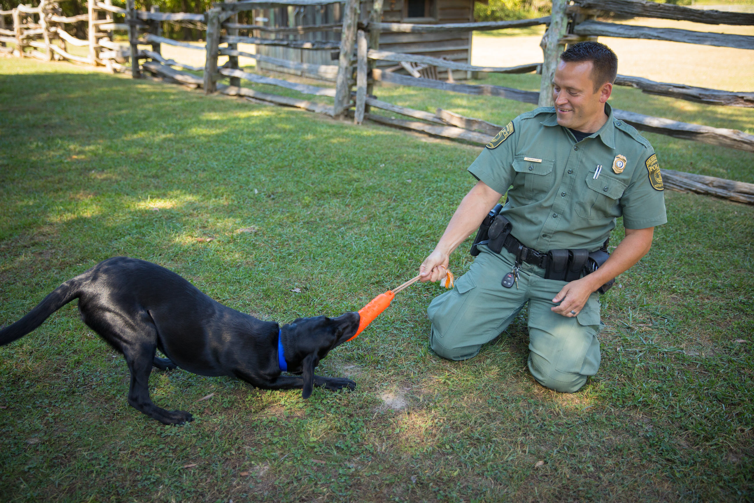 CPO Patrillo playing tug of war with an orange toy with K9 Bailey after a training session.