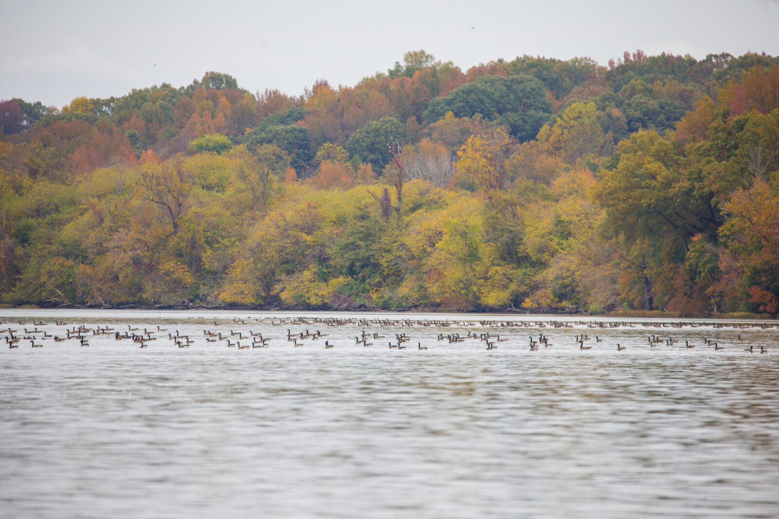 Land’s End Virginia DWR