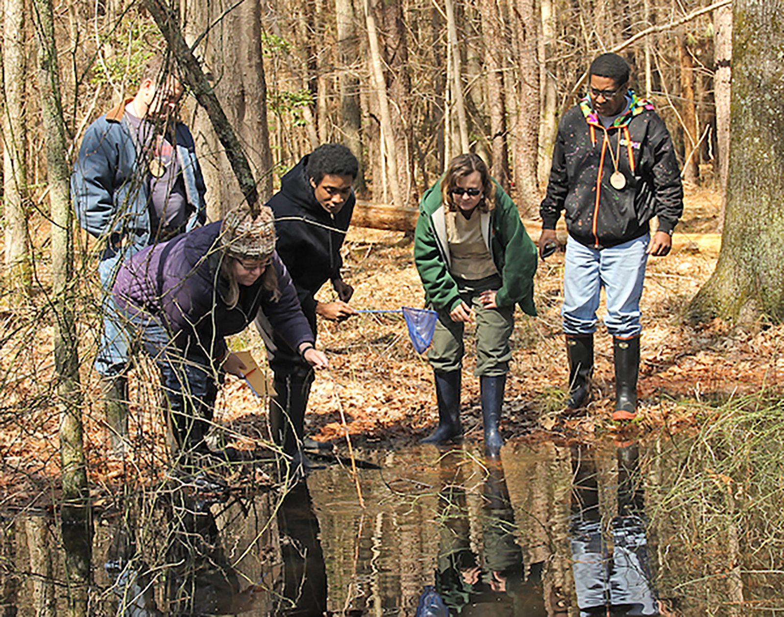 A group of people wearing rubber boots stand at the edge of a small pond in the woods, looking at the water and nets.