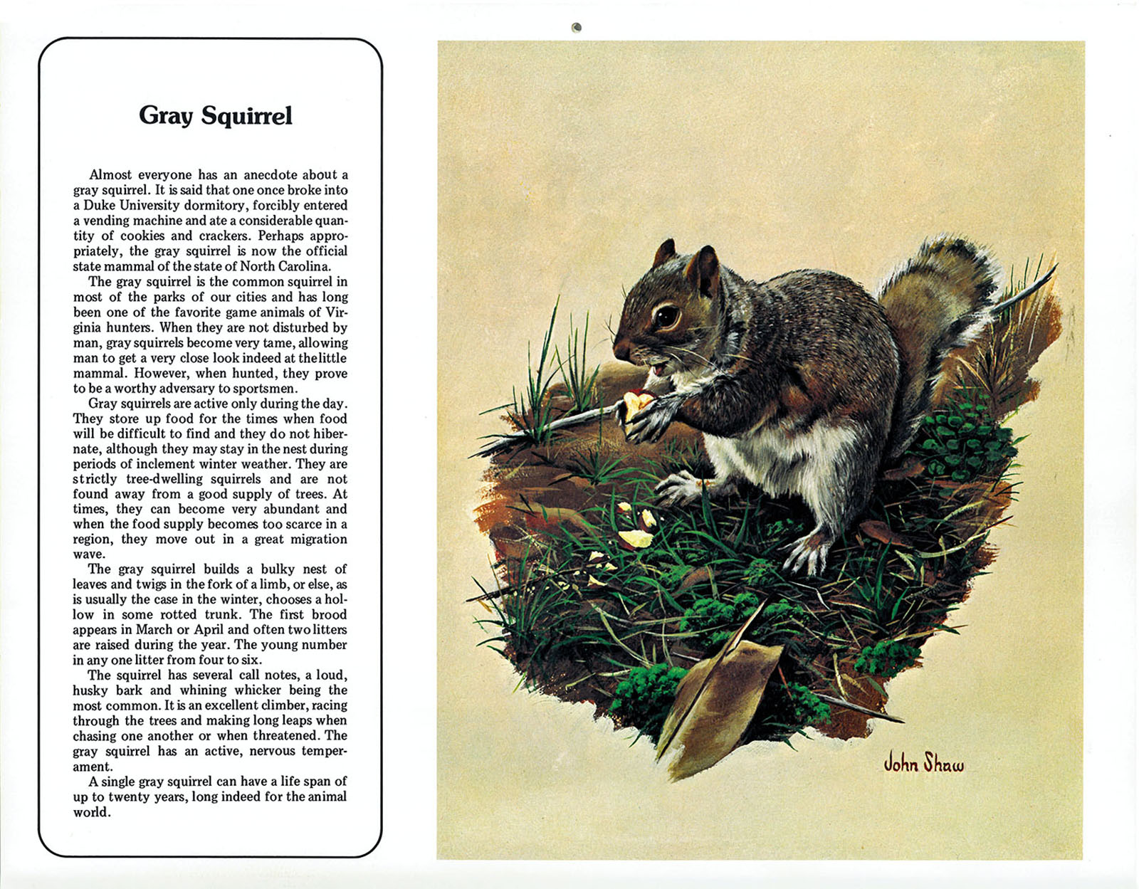 A page from the 1978-79 Virginia Wildlife calendar.