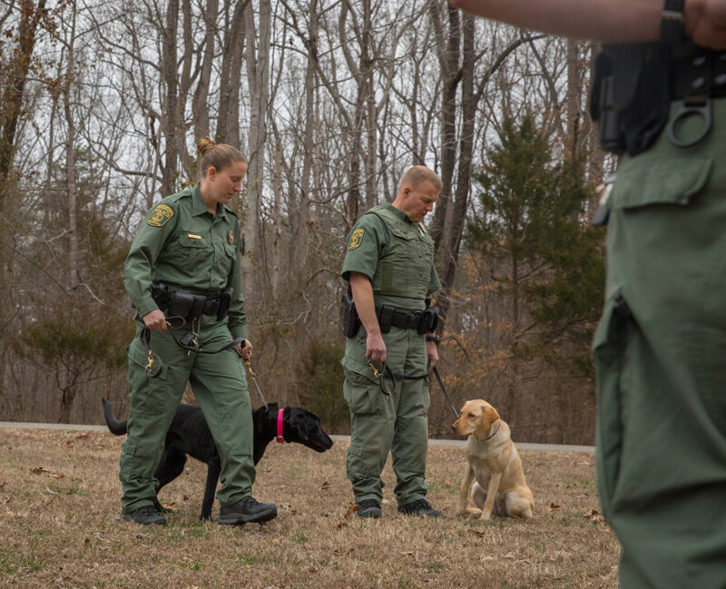 CPO Bonnie Braziel and Grace (left) walk around Master CPO Mark Diluigi and Lily as the dogs and handlers work on basic obedience.