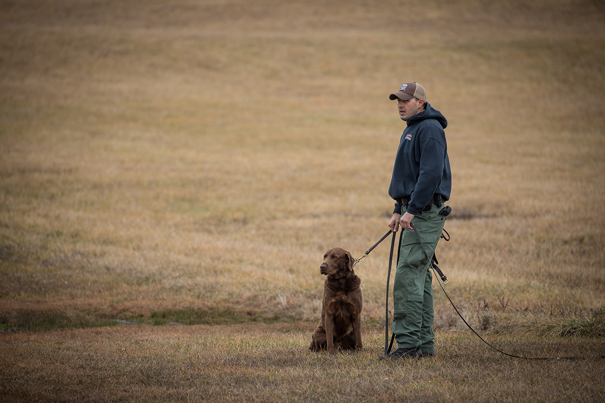 An image of a chocolate lab named Bruno and his handler waiting for their training exercise