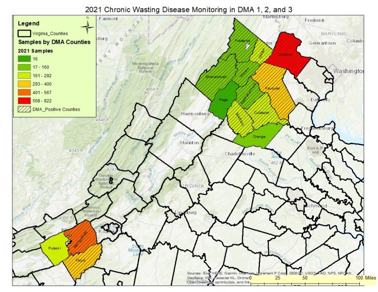 Tracking Chronic Wasting Disease in Virginia | Virginia DWR