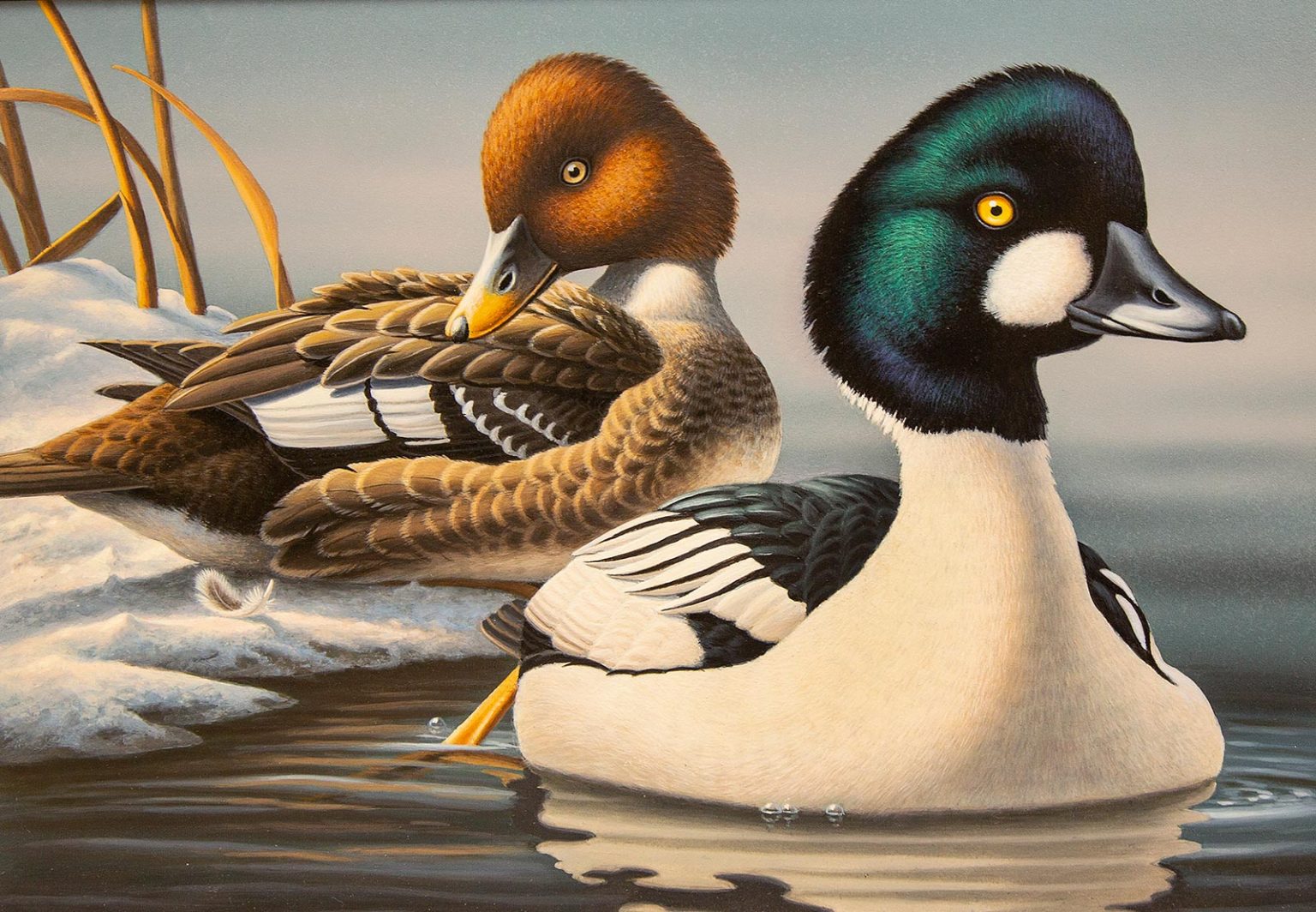 Virginia Migratory Waterfowl Conservation Stamp Virginia DWR