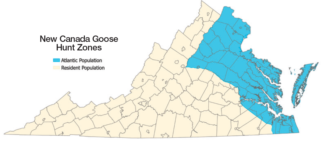 A map of Virginia depicting the counties included in various goose hunting zones. See text for explanation.