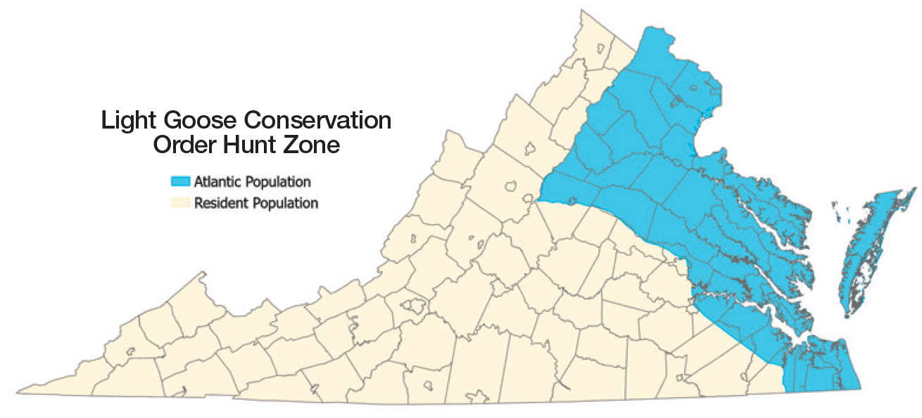 A map of Virginia depicting the counties included in various goose hunting zones. See text for explanation.