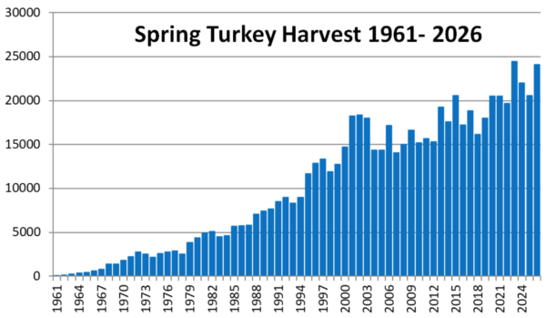 A bar graph of spring turkey harvest from 1961–2026, showing a trend of generally increasing harvest over time, with some year-to-year variability. The harvest in 2026 was higher than in the preceding decade, except for an all-time high in 2023.