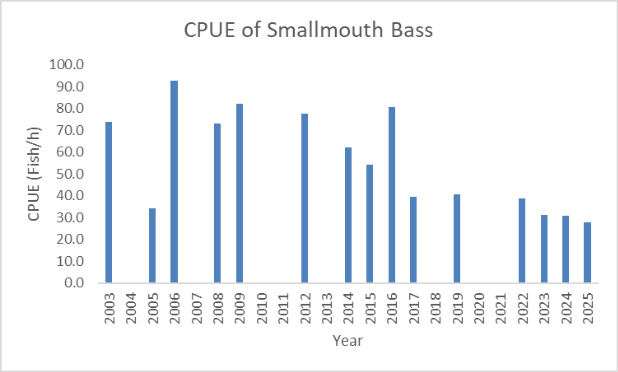 Bar chart of smallmouth bass catch per unit effort on the Clinch River by year.