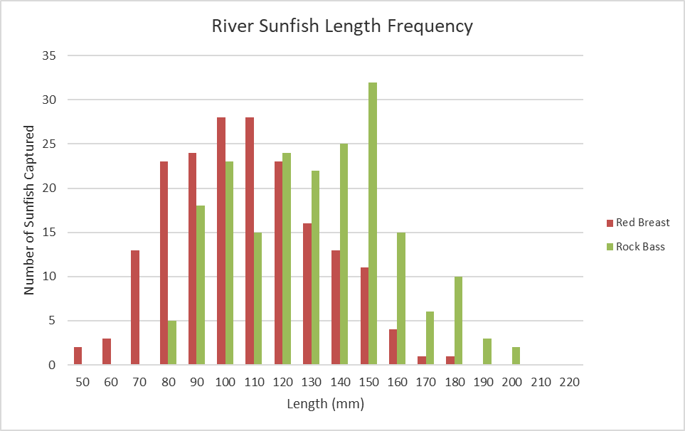 Length-frequency bar chart for Cowpasture River sunfish.