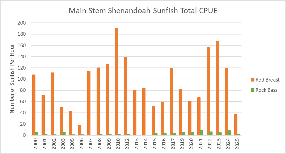 Bar chart of Main Stem Shenandoah River sunfish catch per unit effort by year.