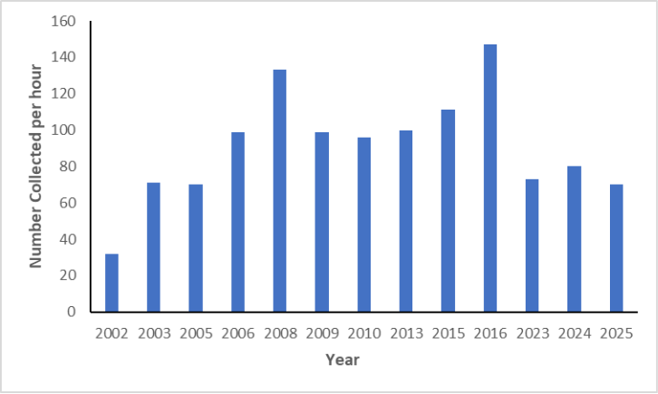 Bar chart of North Fork Holston River smallmouth bass catch rates by year.